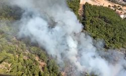 Antalya'da orman yangını (2)