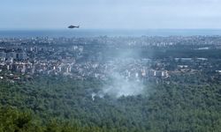 Antalya'da orman yangını / Ek fotoğraflar