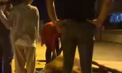 Ata şiddet uygulandığı iddiası; 2 şüpheli gözaltında