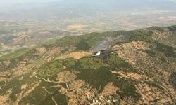 Aydın'da orman yangını (2)