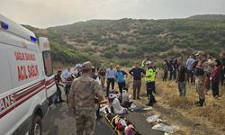 Bingöl'de minibüs şarampole devrildi: 10 yaralı