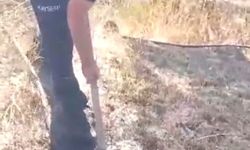Kayseri'de anız yangını; 100 dönümlük alan zarar gördü