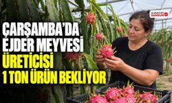 Çarşamba’da Ejder Meyvesi Üreticisi 1 Ton Ürün Bekliyor