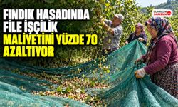 Fındık Hasadında File İşçilik Maliyetini Yüzde 70 Azaltıyor