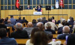 Arıkan: Fon vurgunu organize bir yapının eseridir