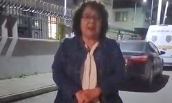 Çöp konteynerinin yanında vücutlarında kesikler olan 2 yavru kedi ölü bulundu