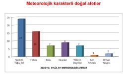 Türkiye'de İklim Alarmı: Ekstrem Doğa Olayları 20 Yılda İki Katına Çıktı