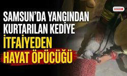 Samsun'da Yangından Kurtarılan Kediye İtfaiyeden Hayat Öpücüğü