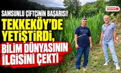 Samsunlu Çiftçinin Başarısı! Tekkeköy’de Yetiştirdi, Bilim Dünyasının İlgisini Çekti