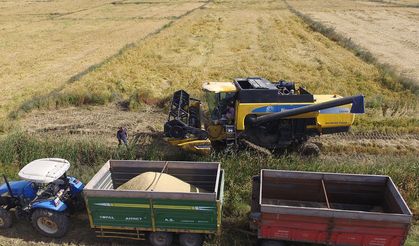 TÜİK: Tarımsal Girdi Fiyatları Aralıkta Arttı