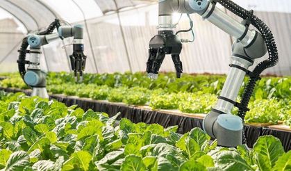 YÖK’ten Yeni Hamle: Tarımsal Teknoloji Bölümleri Açılıyor