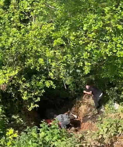 Dere yatağına düşen inek, vinçle kurtarıldı