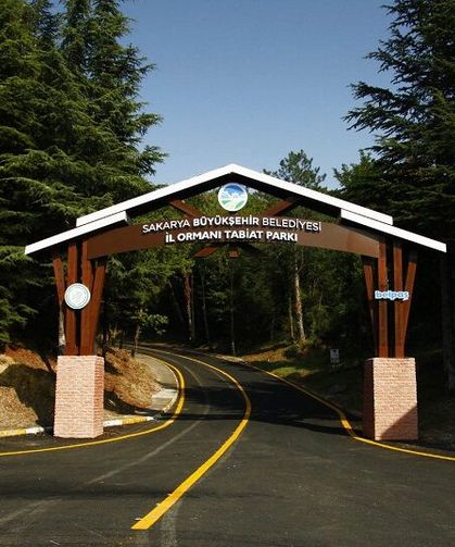 Sakarya'daki Acarlar Longozu ve İl Ormanı Tabiat Parkı bayramda 24 bin ziyaretçi ağırladı