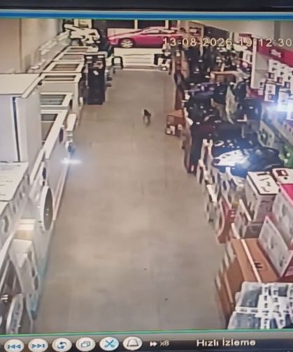 Amasya'da kurtarılan kedi, itfaiyecileri peşinden koşturdu