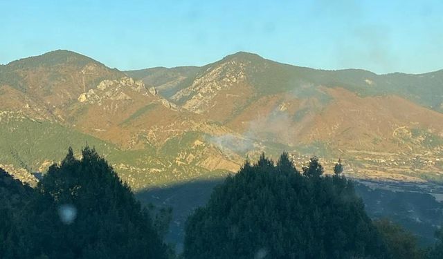 Sinop'ta Yangın! 1 Hektar Ormanlık Alan Zarar Gördü