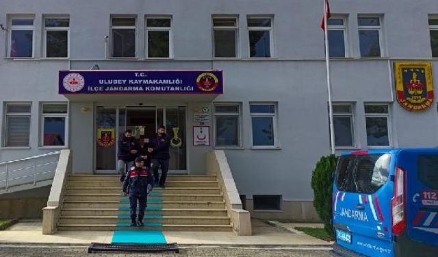 Ordu'da 1 Ton Fındık Hırsızlığına Tutuklama