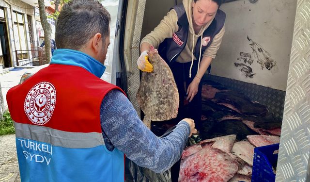 Sinop'ta Kaçak Yolla Avlanan 340 Kalkan Balığı Ele Geçirildi