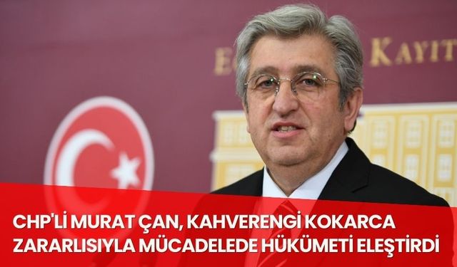 CHP'li Murat Çan'dan Hükümete Kahverengi Kokarca Eleştirisi
