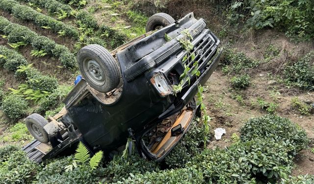 Rize'de Çay Bahçesine Devrilen Kamyonetteki 3 Kişi Yaralandı