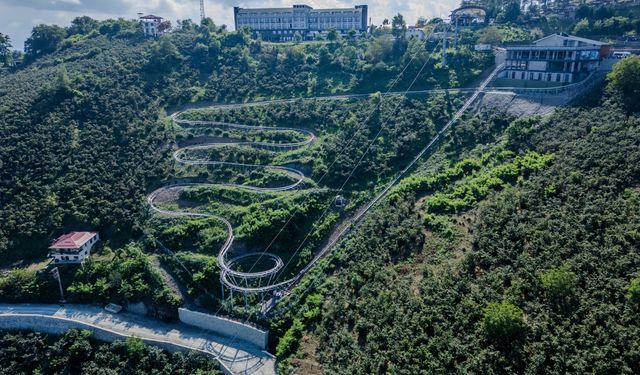 Ordu'da 500 Bini Aşkın Kişi Dağ Kızağı Heyecanı Yaşadı