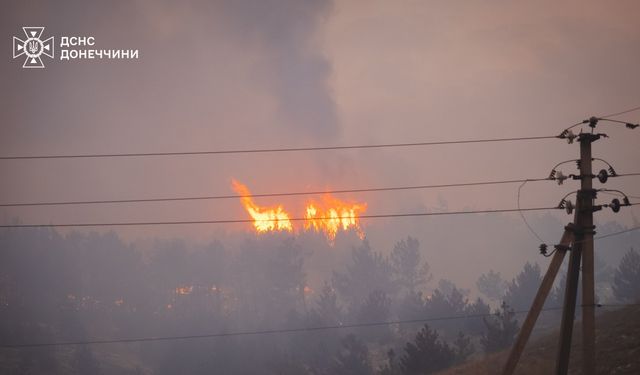 Ukrayna’nın Kramatorsk Bölgesinde Orman Yangını