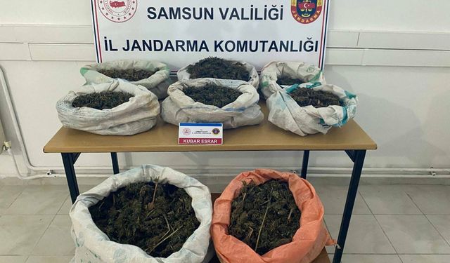 Samsun'da Ormanlık Alanda 8 Kilo 525 Gram Esrar Bulundu