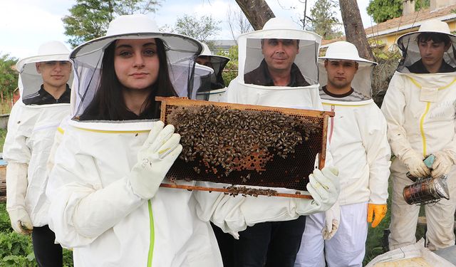 Samsun'da Liseli Öğrenciler Arıcılık Dersiyle İlk Hasatta 60 Kilogram Bal Üretti