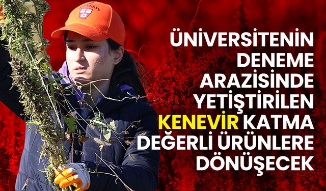 OMÜ Kenevir Araştırmaları Enstitüsü, Katma Değerli Ürünler Üretiyor