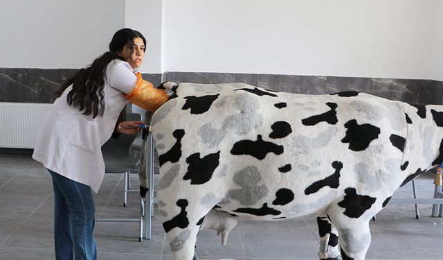 Samsun’da Öğrenciler Hayvan Sağlığı Eğitiminde Maket Kullanıyor