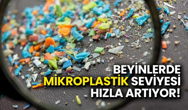 Beyinlerde Mikroplastik Seviyesi Hızla Artıyor!