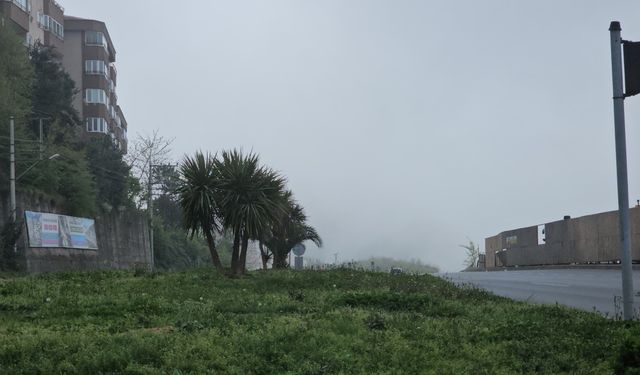 Zonguldak’ta Sis Etkili Oldu