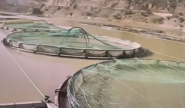 Ayının su ürünleri tesisindeki balıkları yiyip uzaklaştığı anlar kamerada