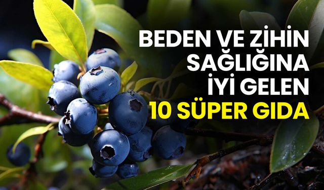 Beden ve Zihin Sağlığına İyi Gelen 10 Süper Gıda