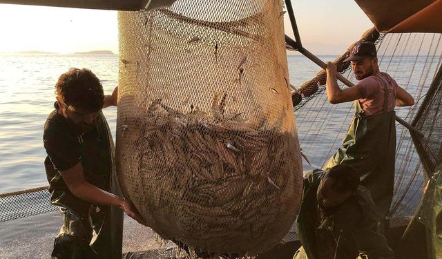 Araştırma: Balıkçılık Yasakları Okyanus Yaşamını Canlandırıyor