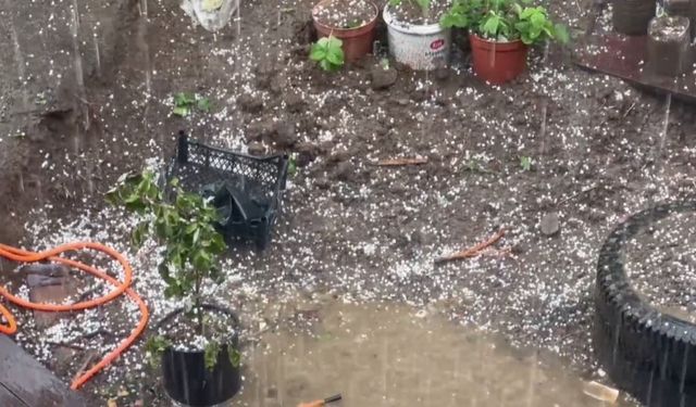 Artvin'de dolu; tarım arazileri zarar gördü