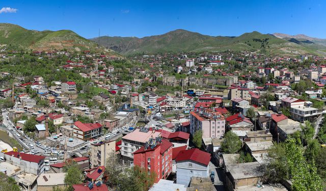 ‘Bitlis Beş Minare Uluslararası Film Festivali’ yarın başlıyor