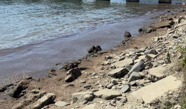 Tekirdağ'da kuvvetli rüzgar sonrası sahil kırmızı yosunlarla kaplandı