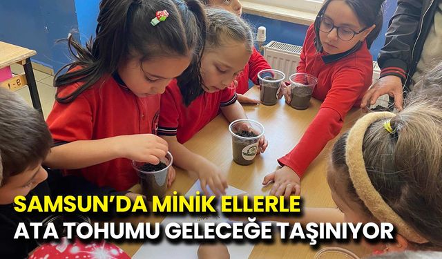Samsun’da Minik Ellerle Ata Tohumu Geleceğe Taşınıyor