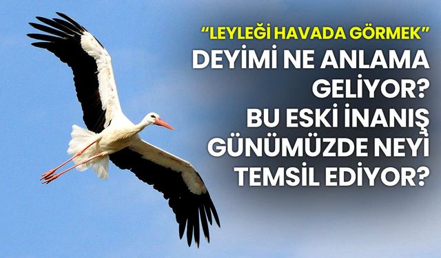 Leyleği Havada Görmek: Gezgin Ruhların Eski İşareti