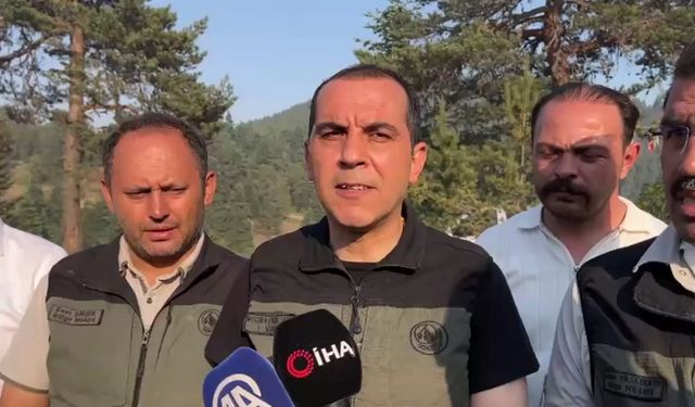 Çankırı'da orman yangını (2)