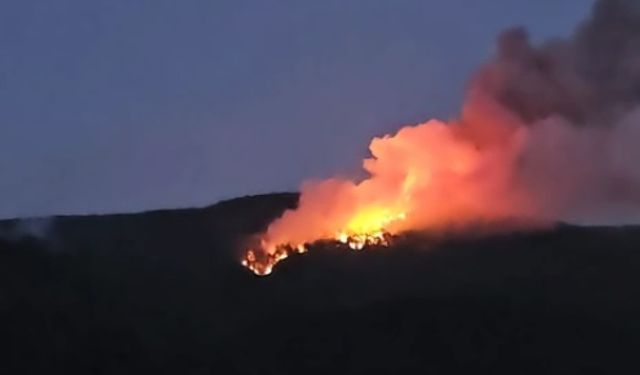 Çankırı'da orman yangını