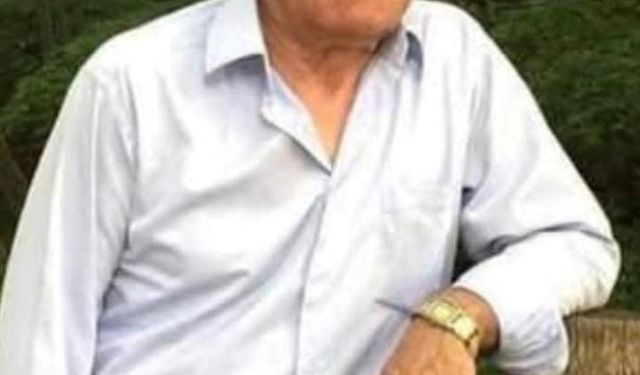 Giresun'da arı sokan çiftçi öldü