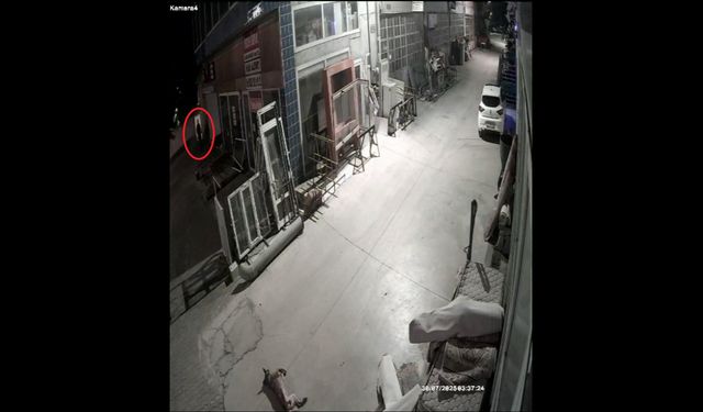 Havalı tüfekle vurulan köpek felç kaldı; saldırı kamerada