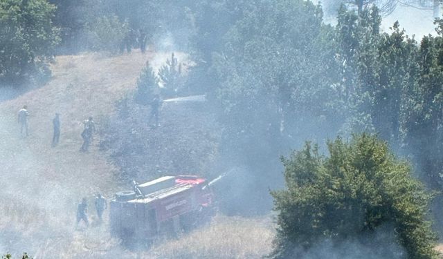 Kastamonu'da anız yangını ormana sıçradı; 10 hektar alan zarar gördü