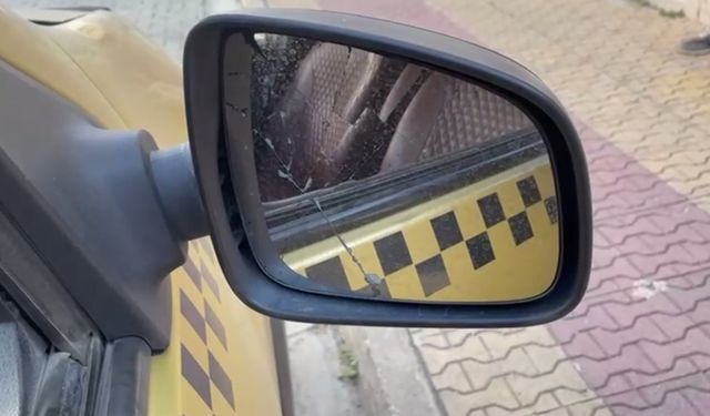 Ayı ve yavrusunun taksiye saldırma anı kamerada