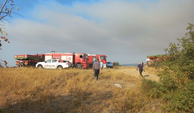 Balıkesir'de tarım arazisinde yangın