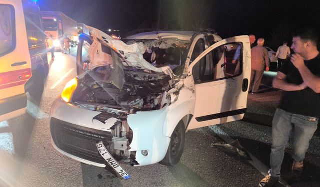 Bingöl'de hafif ticari araç ata çarptı: 1 ölü, 1 yaralı