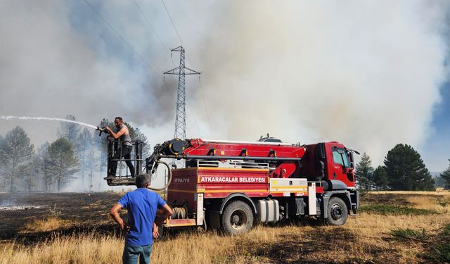 Çankırı'da çıkan orman yangını kontrol altına alındı