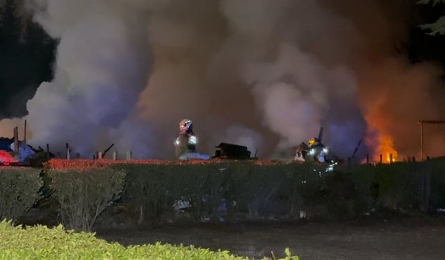 Düzce'de kereste fabrikasında yangın