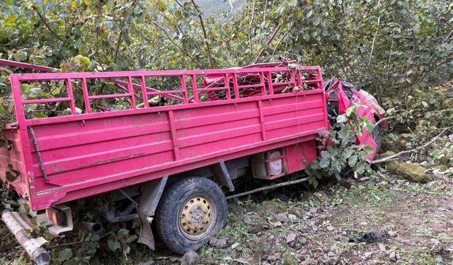 Giresun'da fındık işçilerini taşıyan kamyonet şarampole yuvarlandı: 4 ölü 1 yaralı